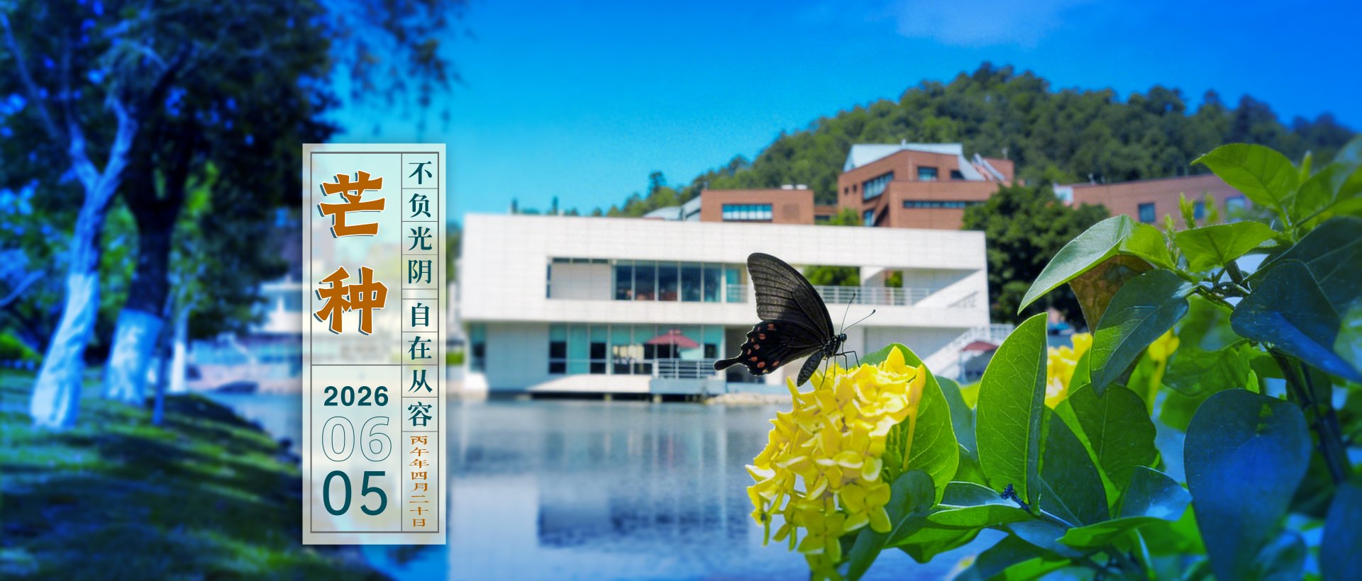 6月19日